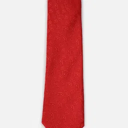 Peter England Men Red Ties-picture-14
