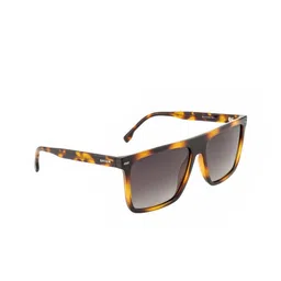 OPIUM Men Brown Lens & Brown Rectangle Polarised Lens Sunglasses-41