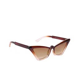 AISLIN Women Cateye Sunglasses with UV Protected Lens ES_13337-88-AS-6101-BRW-BRCL-CE-image-29