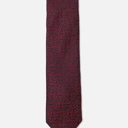 Allen Solly Men Embroidered Formal Tie-picture-26