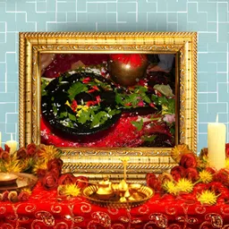 Hawai Multicoloured 1 Pieces Wood Fashion Photo Frames-image-64