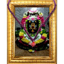 Hawai Multicoloured 1 Pieces Wood Fashion Photo Frames-image-61