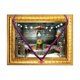 Hawai Multicoloured 1 Pieces Wood Fashion Photo Frames-image-72