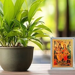 Hawai Gold-Toned and Red Shiv Parivar Acrylic Wall Photo Frame-image-1