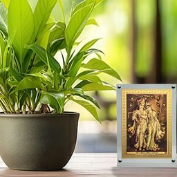 Hawai Gold-Toned 1 Pieces Acrylic Fashion Photo Frames-image-92
