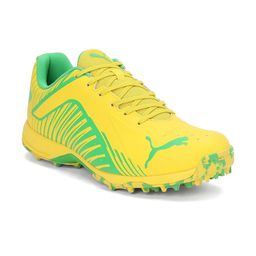 Puma Men PUMA 22 FH Rubber Cricket Shoes-45