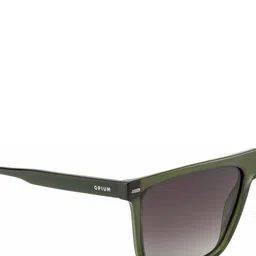 OPIUM Men Brown Lens & Green Rectangle Frame Sunglasses with Polarised LensOP-1913-C04 image 4