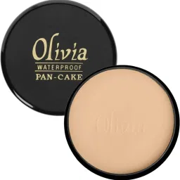 100% Waterproof Pan Cake Concealer 25g Shade No. 27 Concealer-13