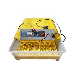 tm&w TM&W-(HHD) | 48 Egg Incubator-Eggs Intelligent Automatic Egg Incubator Temperature Control Hatcher for Hatching Chicken Duck Bird Quail Poultry AC220V image 5