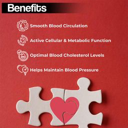 Health Veda Organics Coenzyme Q10 (CoQ10),  60 capsules  image 2