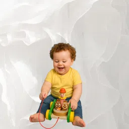 early learning wooden toys easy grip toy Tricycle-image-6