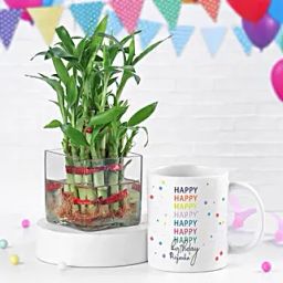 Lucky Bamboo N Mug Birthday Wishes-9