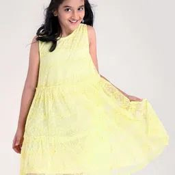 Hola Bonita Girls Floral Embroidered Round Neck Net Dress-picture-9