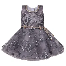 Wish Karo Grey Embellished Net Dress-picture-51