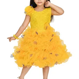 BAESD Girls Self Design Net Fit & Flare Midi Dress-picture-34