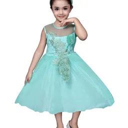 BAESD Round Neck Embellished Net Fit & Flare Dress-image-90