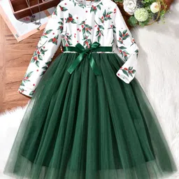 BAESD Girls Floral Printed Round Neck Net Fit & Flare Dress-image-53