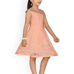 Aarika Peach-Coloured Net Peplum Midi Dress image 2