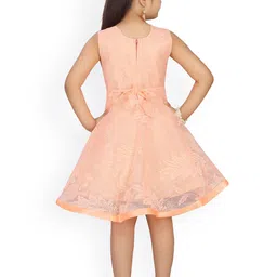 Aarika Peach-Coloured Net Peplum Midi Dress image 5