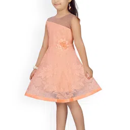 Aarika Peach-Coloured Net Peplum Midi Dress image 4