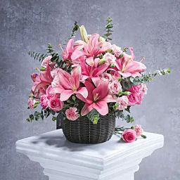 Pink Prestige-image-8