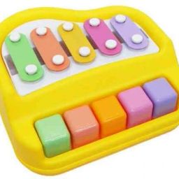 Musical Xylophone and Mini Piano,-image-30
