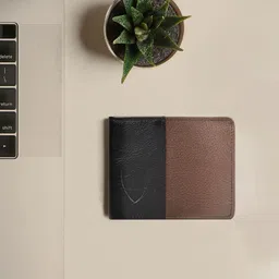 Hidesign Men Black & Brown Colourblocked Two Fold Wallet-15