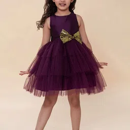 A T U N Burgundy Net Dress-22