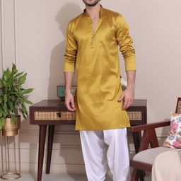 MIDAV Mandarin Collar Long Sleeves Regular Dupion Silk Straight Kurta with Salwar-picture-13