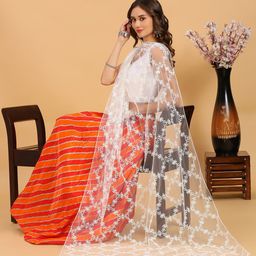 Dupatta Bazaar Embroidered Net Dupatta-10