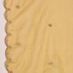 Berrylicious Embroidered Regular Thread Work Kurta With Trousers & Dupatta image 5