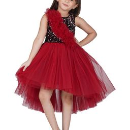 Toy Balloon kids Maroon Layered Net Dress-49