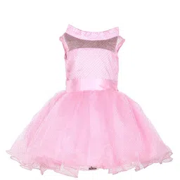 Samsara Couture Multicoloured Applique Net Dress-picture-20