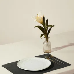 Fabindia Charcoal 6 Pieces Cotton Rectangle Table Placemats-38