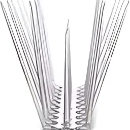 Bird Spike-picture-10