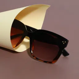 Others Wayfarer Sunglasses (15)-image-30