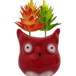 Garden Deco Red Cute Owl Ceramic Pot-picture-37