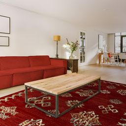 Sapana Carpet-Mats Maroon Traditional Anti-Skid Polypropylene Carpet-picture-26