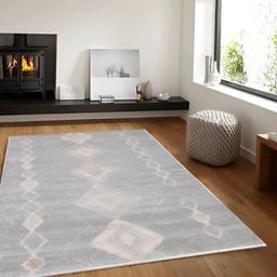 Sapana Carpet-Mats Silver Toned & Beige Geometric Printed Anti Skid Rectangle Carpet-18