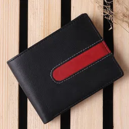 HENEDA Men Colourblocked Leather Two Fold Wallet-image-79