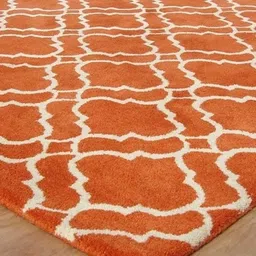 Safiya Carpet Orange Ethnic Motifs Hand-Tufted Woollen Carpets-image-14