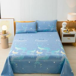 JC HOME Blue & White Graphic Single Bedsheet with Pillow Covers-image-21