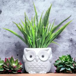 Owl pot with green leafs for home office gift good luck Bonsai Artificial Plant with Pot-image-10