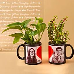 Plants In Personalised Couple Love Mug Set-38