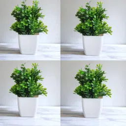 MPOT4GREEN Bonsai Wild Artificial Plant with Pot-image-99