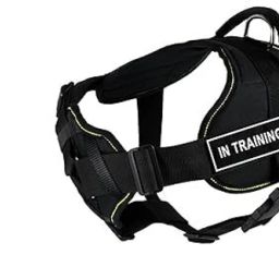 TRANINGHARNESSR058 Safety Harness-image-25