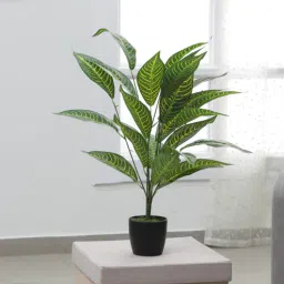 Polyester Croton Artificial Plant With Pot by Arick Decor-picture-41