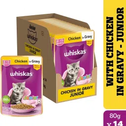 (2-12 Months) Chicken 1.12 kg (14x0.08 kg) Wet Young Cat Food-image-84