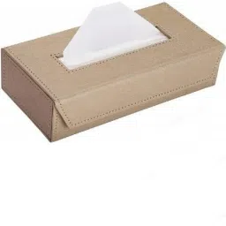 Car Vehicle Tissue dispenser box (Beige) Vehicle Tissue Dispenser-image-8