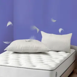 clouddio from pepperfry Cumulus Fibre 27x16 White Pillow (Set of 2)-picture-22